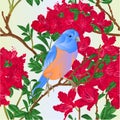 Seamless texture small bird songbirdon Bluebird thrush and red rhododendron nature background watercolor vintage vector