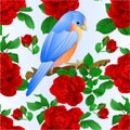 Seamless texture Small songbirdon Bluebird thrush and red rose spring background vintage vector illustration editable Royalty Free Stock Photo