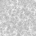 Seamless texture of Spong form (Spongiformia). Fashion graphic background design