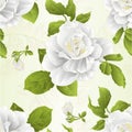 Seamless texture stem flower white rose and leaves vintage natural background vector illustration editable Royalty Free Stock Photo