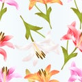 Seamless texture stem Lily flower yellow white pink yellow red Lilium candidum nature background vintage vector illustration edi