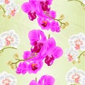 Seamless texture stems orchids Phalaenopsis White and purple flowers and buds tropical plants vintage vector botanical illustrati Royalty Free Stock Photo