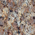 Surface rocks of Khibiny Mountains