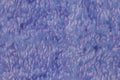 A seamless texture of synthetic purple polyester soft furniture upholst