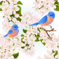 Seamless Texture Thrush Small Birds Bluebirds On A Apple Tree With Flowers Vintage Vector Illustration Editable