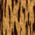 Seamless Texture tiger fur pattern animal skin