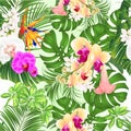 Seamless texture tropical flowers  with  Brugmansia  Strelitzia reginae yellow white and purple  orchid Phalaenopsis palm monstera Royalty Free Stock Photo