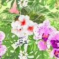 Seamless texture tropical flowers floral arrangement beautiful orchids Phalaenopsis purple white and white hibiscus with