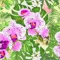 Seamless texture tropical flowers floral arrangement beautiful orchids Phalaenopsis purple and white with Schefflera and Mo