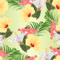 Seamless texture Tropical flowers  floral arrangement, with pink white and yellow hibiscus and  palm ficus  vintage vector Royalty Free Stock Photo