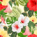 Seamless texture tropical flowers floral arrangement, with white red and yellow hibiscus and Brugmansia palm,philodendron vint