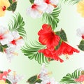 Seamless texture tropical flowers floral arrangement, with white red yellow hibiscus and ficus and palm set watercolor on a