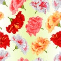 Seamless texture  tropical flowers hibiscus yellow red pink white   on a green background watercolor vintage  vector  botanical Royalty Free Stock Photo