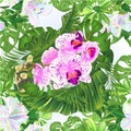 Seamless texture tropical flowers orchid purple and white Phalaenopsis with and rhododendrons tropical leaves of banana ficus,