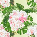 Seamless texture tropical flowers orchids pink Cymbidium and white Phalaenopsis with tropical leaves of banana ficus,palm,