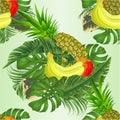 Seamless texture Tropical fruit banana and pineapple with tropical leaves of banana ficus,palm,philodendron on white background