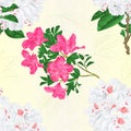 Seamless texture twig white and pink flower rhododendron vintage vector editable illustration