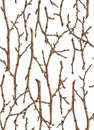 Seamless texture of twigs Royalty Free Stock Photo