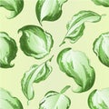 Seamless texture Variegated hosta Magic Fire, foliage plant perennial bold leaves irregular cream with green edged on a white b