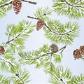 Seamless texture various pine and pine cone branch winter snowy natural background christmas theme vintage vector illustration Royalty Free Stock Photo