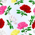 Seamless texture various  red pink white yellow rose stem with leaves watercolor vintage on a blue background vector illustration Royalty Free Stock Photo