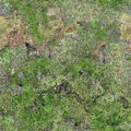 Seamless texture of wall decorated with moss. Endless forest moss pattern. Seamless texture green mossy stone. Royalty Free Stock Photo