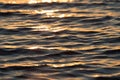 Seamless texture warm color shining sunset water surface