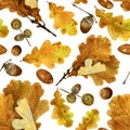 Seamless texture of watercolor fall oak leaves and acorns. Bright autumn print with natural elements Royalty Free Stock Photo