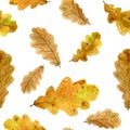 Seamless texture of watercolor fall oak leaves. Bright autumn print with natural elements Royalty Free Stock Photo