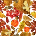 Seamless texture of watercolor fall oak, rowan leaves and acorns. Bright autumn print with natural elements Royalty Free Stock Photo