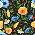 Seamless texture of watercolor summer meadow flowers, ladybirds and herbs. Bright floral print with natural elements on black