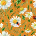 Seamless texture of watercolor summer meadow flowers, ladybirds and herbs. Bright floral print with natural elements