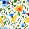 Seamless texture of watercolor summer meadow flowers, ladybirds and herbs. Bright floral print with natural elements