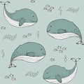 Seamless texture with whales, fish