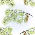 Seamless texture white Pine branch with pine cone winter snowy natural background vintage vector illustration editable Royalty Free Stock Photo