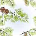 Seamless texture white Pine branches with pine cone winter snowy natural background vintage vector illustration editable Royalty Free Stock Photo