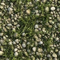 Seamless texture of wild grass, mixed with small stones scattered naturally Royalty Free Stock Photo