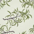 Seamless texture Willow branch with catkins vector