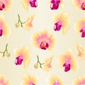 Seamless texture yellow Orchid Phalaenopsis flower closeup vintage vector editable illustration