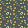Seamless Thanksgiving fall pattern with pumpkin colorful maple ash leaves, twigs, berries on navy blue background. Autumn nature Royalty Free Stock Photo