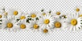 Daisies Border Seamless Tile Isolated on Transparent Background - Generative AI