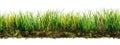 Tileable Seamless Row of Fresh Grass on a White Background - Generative AI. Seamlessly expandable on both ends to your desired