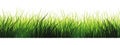 Row of Fresh Grass on a White Background Seamless Tileable - Generative AI. Seamlessly expandable on both ends to your desire
