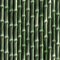 Seamless timber bamboo pattern Royalty Free Stock Photo