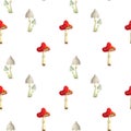 seamless toadstool and fly mushroom pattern on white backdrop. poisonous mushroom background. Fly agaric and toadstool in cartoon