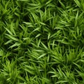 Seamless top view grass pattern with vibrant green blades nature inspired background design