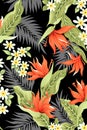 Seamless topical flower pattern with black color