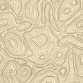 Seamless topographic map texture. Cartography elevation maps contour, contoured terrain lines vector background