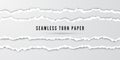 Seamless torn paper stripes. Paper texture with damaged edge. Tear paper borders. Vector illustration