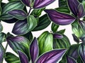 Seamless tradescantia leaves illustration pattern. wallpaper design